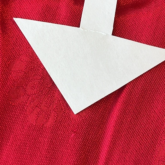 Coldwater Creek Silk Blend Embossed Sheer Chiffon Fringe Wrap Shawl Boho Fairy - Picture 2 of 14